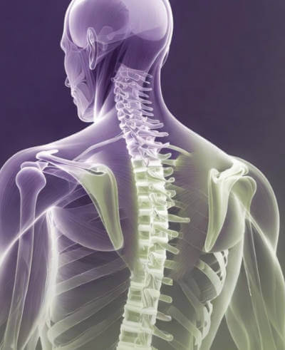 header-home-fusion-chiro-mobile