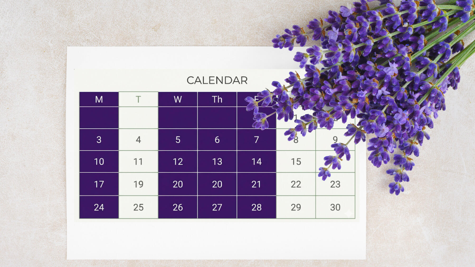 Schedule your appointment with Fusion Chiropractic